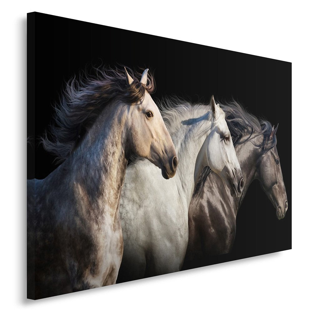 Feeby Frames, Leinwandbild, Bilder, Wand Bild, Wandbilder, Kunstdruck 70x100cm, PFERDE, TIERE, NATUR