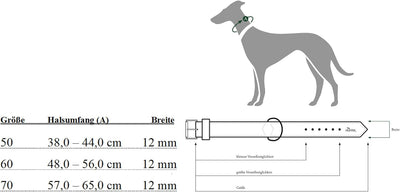 HUNTER LIST Hundehalsband, Tau, Leder, maritim, strapazierfähig, wetterfest, geschmeidig, 60 (L), ol