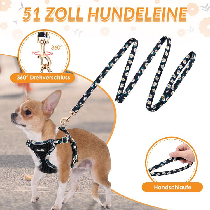 Eyein Hundegeschirr Kleine Hunde mit Leine, Atmungsaktiv Air Mesh Brustgeschirrmit reflektierenden S