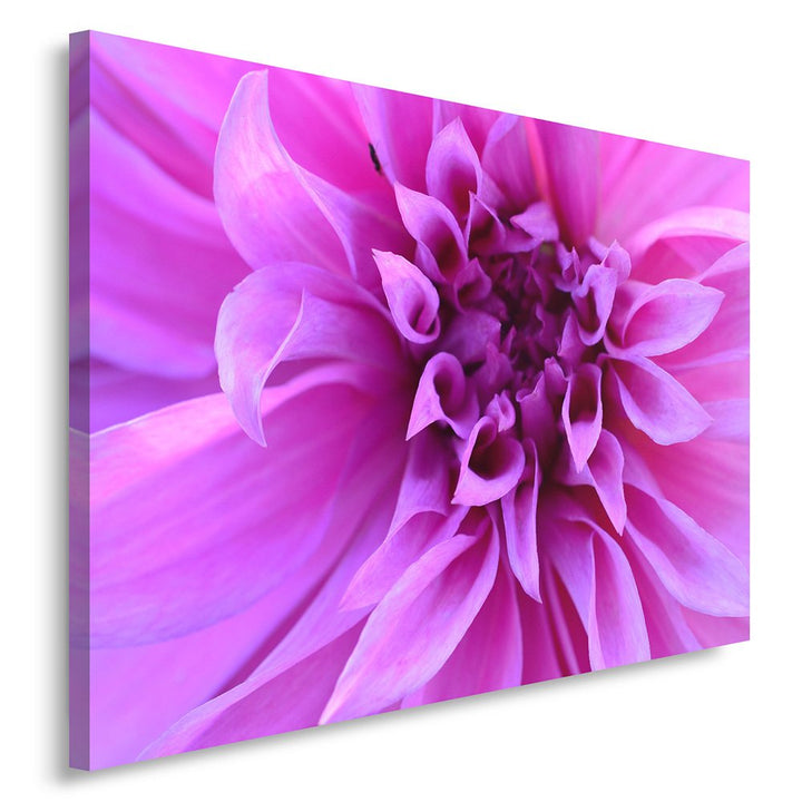 Feeby. Wandbild - 1 Teilig - 70x100 cm, Leinwand Bild Leinwandbilder Bilder Wandbilder Kunstdruck, B