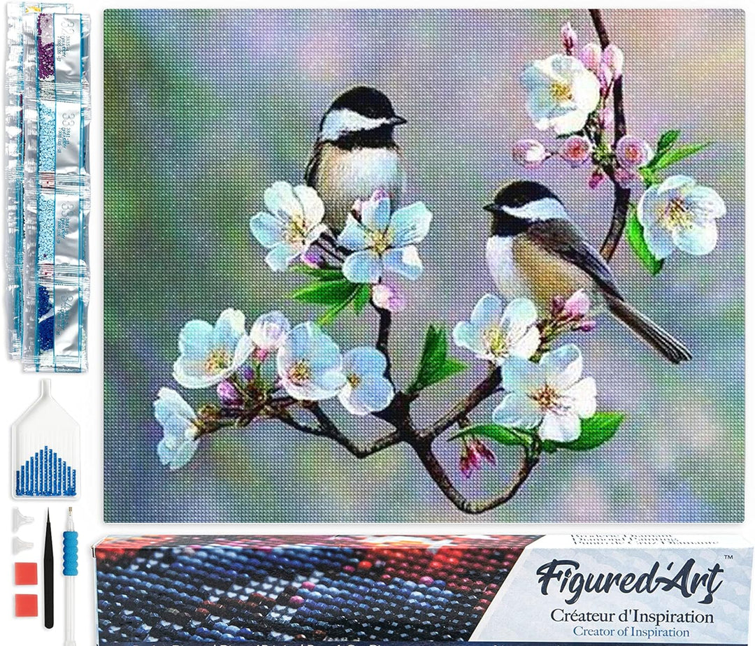 Figured'Art Diamond Painting Erwachsene 40x50cm Ganze Leinwand gerollt Kleine Vögel und weisse Blume