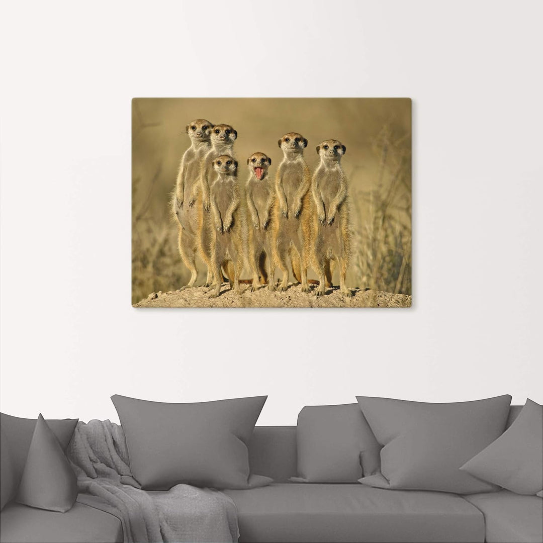 ARTland Leinwandbilder Wandbild Bild auf Leinwand 80x60 cm Erdmännchen Familie T5MH Erdmännchen Fami