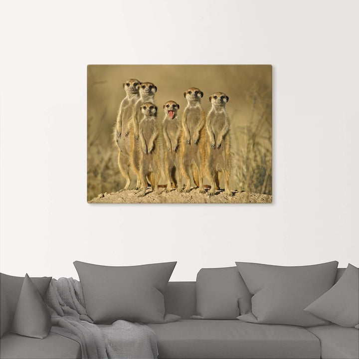 ARTland Leinwandbilder Wandbild Bild auf Leinwand 80x60 cm Erdmännchen Familie T5MH Erdmännchen Fami