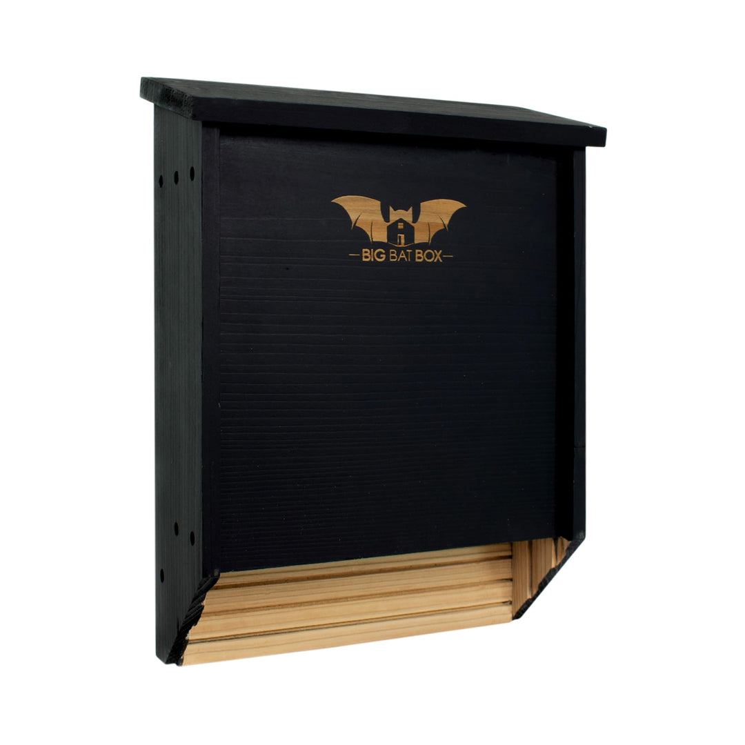 BIGBATBOX -Bat Houses for Outdoors - Proven Bat Box Design, Premium 2-Chamber Cedar Bat House. Enjoy