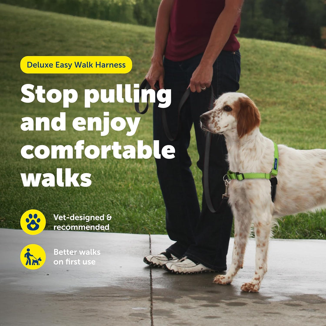 PetSafe Deluxe Easy Walk Hundegeschirr apfelgrün Medium, apfelgrün Medium