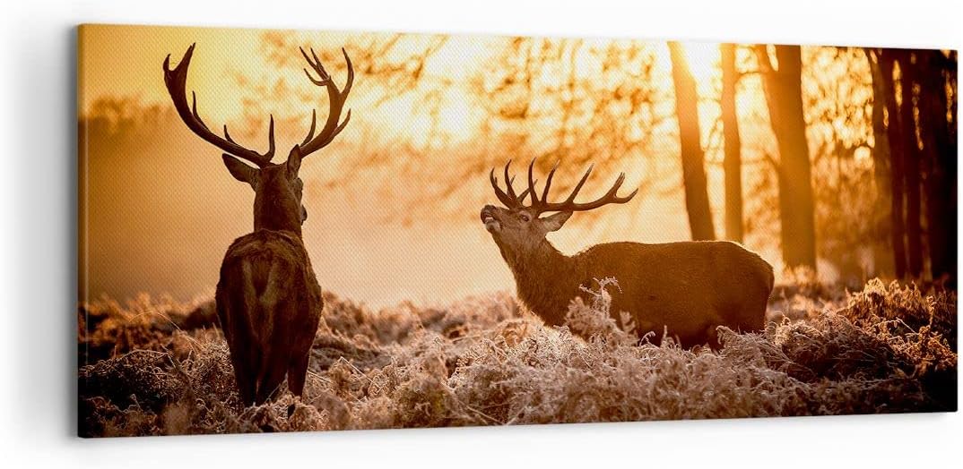 Wandbilder Dekoration Wohnzimmer Deer Heidekraut Tier Panorama Bilder auf Leinwand 120x50cm Leinwand