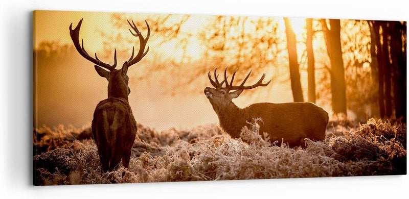 Wandbilder Dekoration Wohnzimmer Deer Heidekraut Tier Panorama Bilder auf Leinwand 120x50cm Leinwand