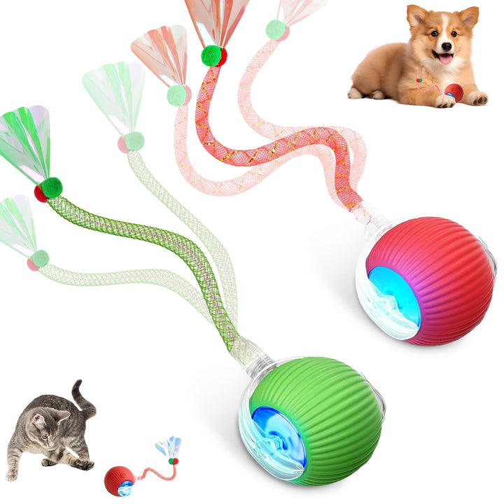 Interaktives Katzenspielzeug,Lot de 2 Katzenspielzeug Selbstbeschäftigung,Katzenspielzeug Ball mit E