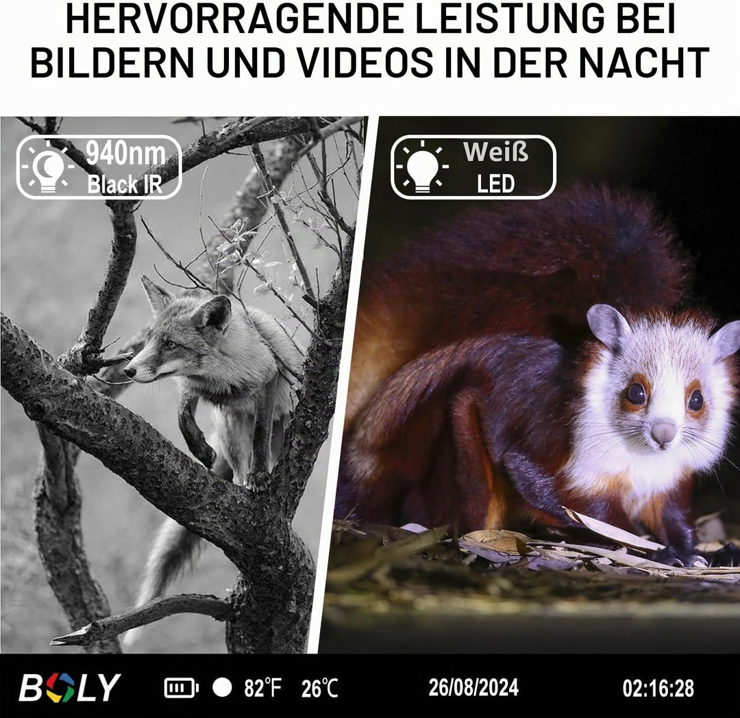 Mini-Wildkamera,2.7K 37MP Jagdkamera 1.44 LCD-Display, Bewegungssensor, Nachtsicht, Grün Farbfotos i