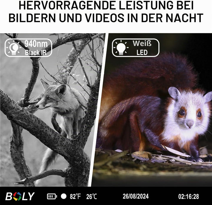 Mini-Wildkamera,2.7K 37MP Jagdkamera 1.44 LCD-Display, Bewegungssensor, Nachtsicht, Grün Farbfotos i