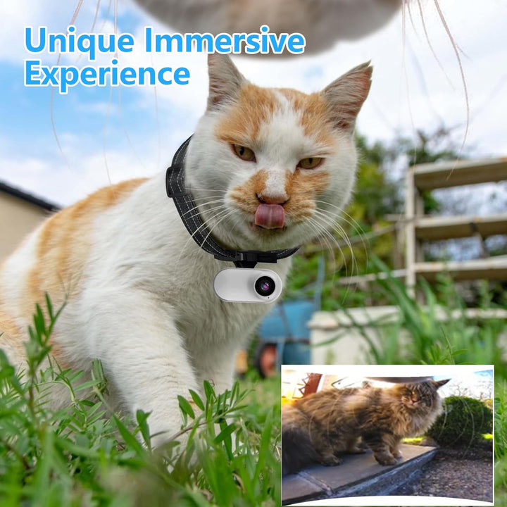 HD 1080P Katzenhalsband mit Videoaufnahme, kabellose Mini-Sportkamera, kleine Action-Kameras, Körper