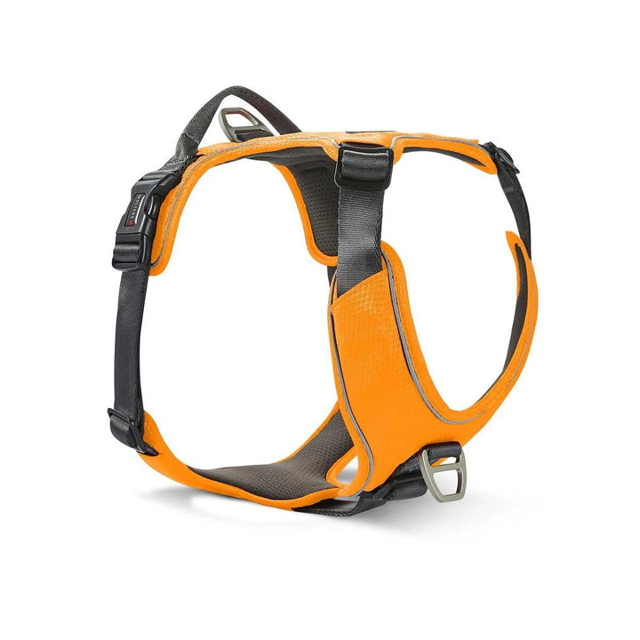 Wolters Geschirr Active Pro Comfort, Grösse:60-75 cm, Farbe:orange/anthrazit 60 - 75 cm orange/anthr