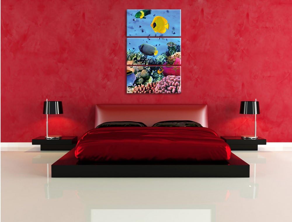 Pixxprint Fische im Korallenriff als Leinwandbild/Grösse: 3 Teilig (120x80) cm/Wandbild/Kunstdruck/f