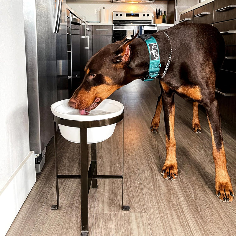 BestVida® Futterautomat für Haustiere, Futterspender für Hunde, Futterspender, Hundenapf, Haustierst