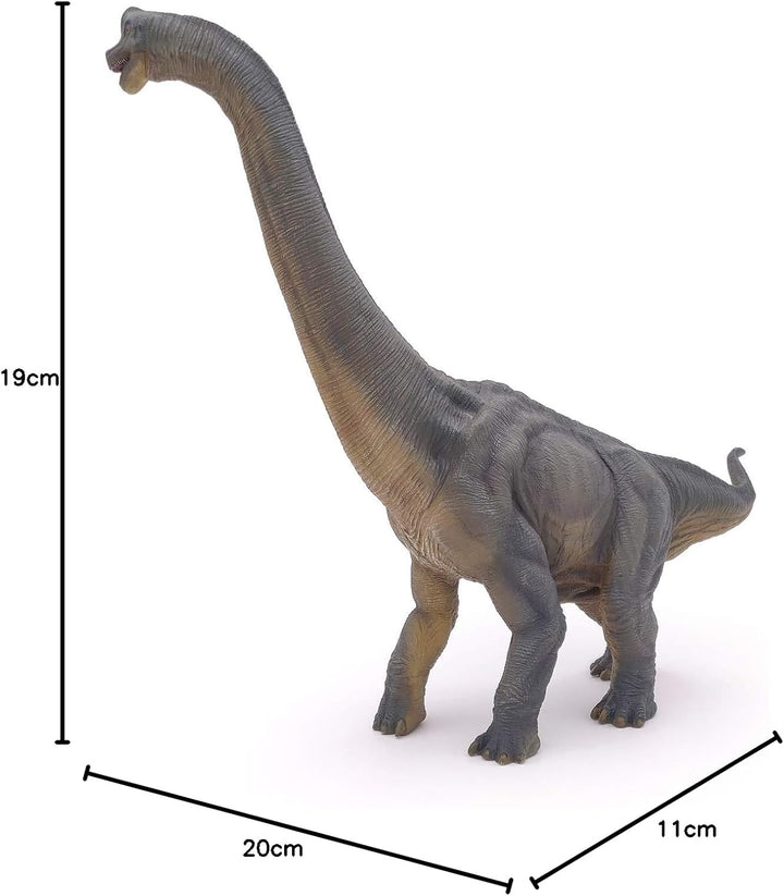 PAPO 55030 Dinosaurier, Brachiosaurus Figur, Mehrfarben Brachiosaurus die Dinosaurier Figur, Mehrfar