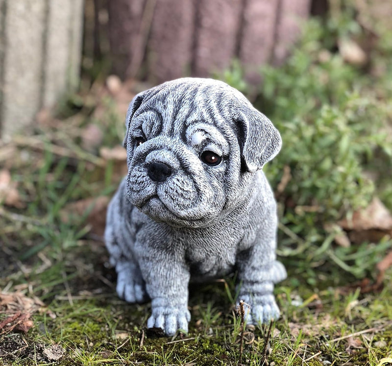 stoneandstyle Steinfigur Bulldogge Welpe massiver Steinguss frostfest wetterfest bis -30°C