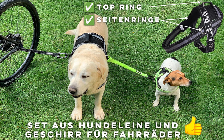BIKE AND DOG - Hundeleine und Hundegeschirr für das Fahrrad, Geschirr mit 3 Ringen, Davon 2 seitlich