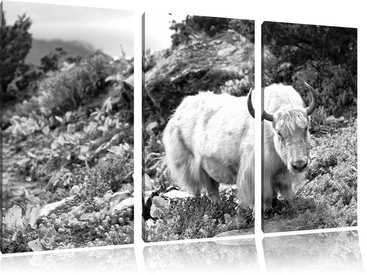 Pixxprint Schönes Yak Himalaya Kunst B&amp;W / 3-Teilig/Gesamtmass 120cm Leinwandbild bespannt auf Holzr