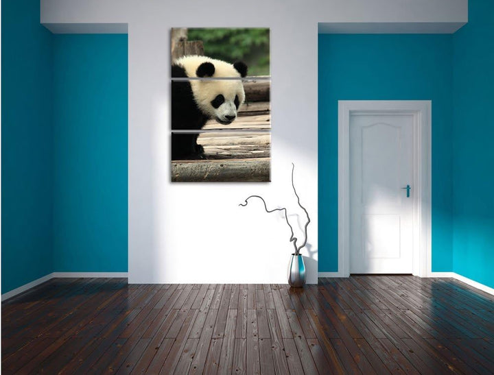 Pixxprint Panda auf Holzstämmen als Leinwandbild/Grösse: 3 Teilig (120x80) cm/Wandbild/Kunstdruck/fe
