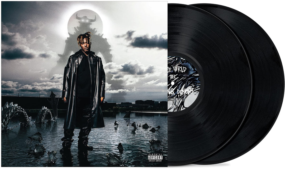 Fighting Demons (2LP) [Vinyl LP], Vinyl