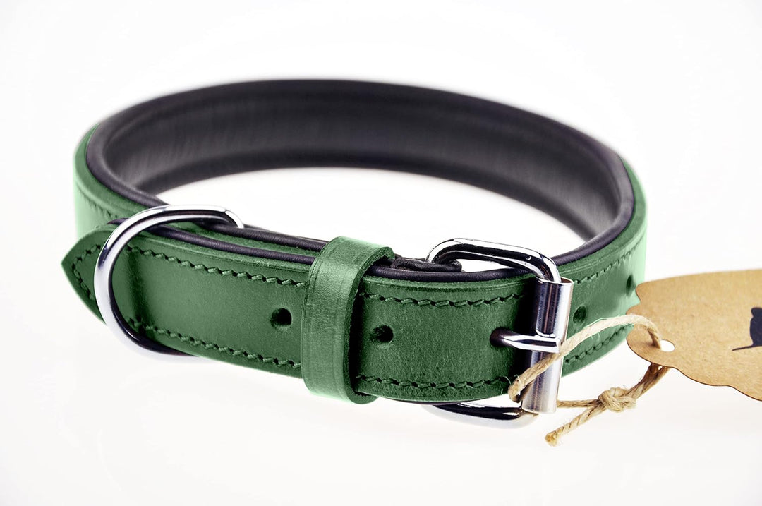 Schnüffelfreunde Halsband für Hunde aus Leder, Hundehalsband für den grossen, mittleren und kleinen