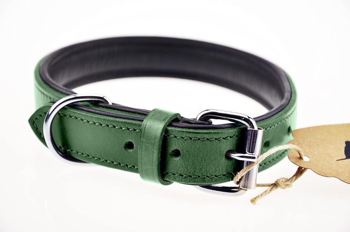 Schnüffelfreunde Halsband für Hunde aus Leder, Hundehalsband für den grossen, mittleren und kleinen