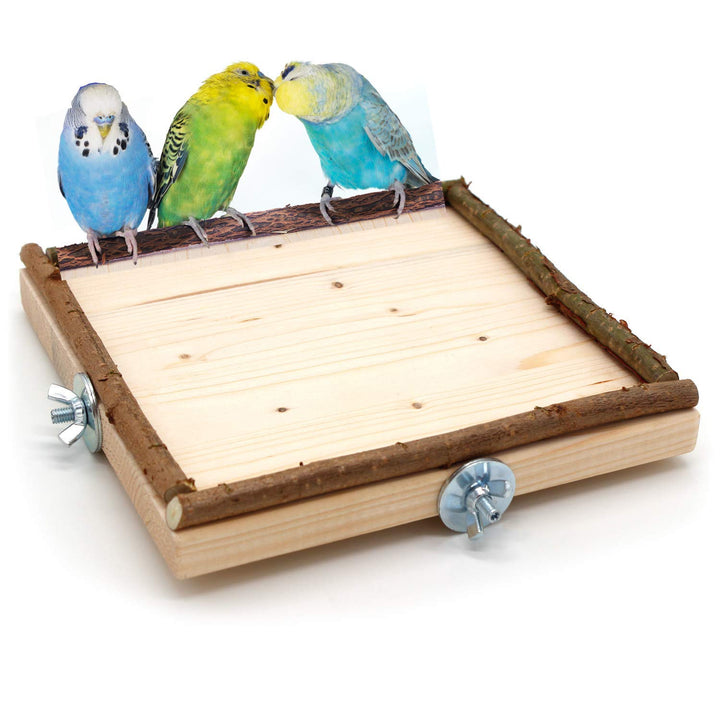 Vogelgaleria® Eck Sitzbrett 20x20cm mit Natur Holz Bordüre für Vögel wie Nymphensittich Wellensittic