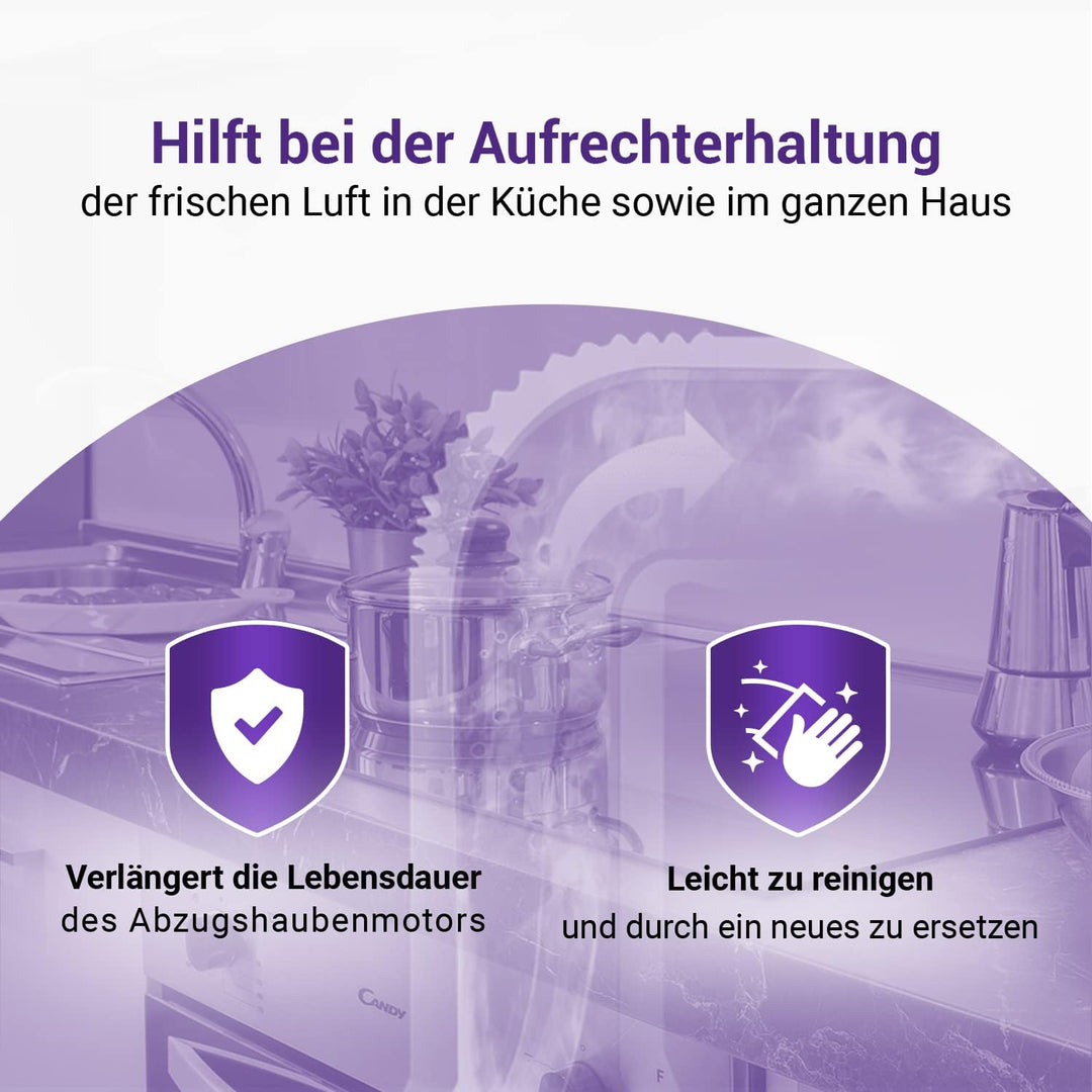 Set 2x Aktivkohlefilter Dunstabzugshaube 317 x 240 x 23 mm Ersatz für Bosch Filter 11026771 00705432