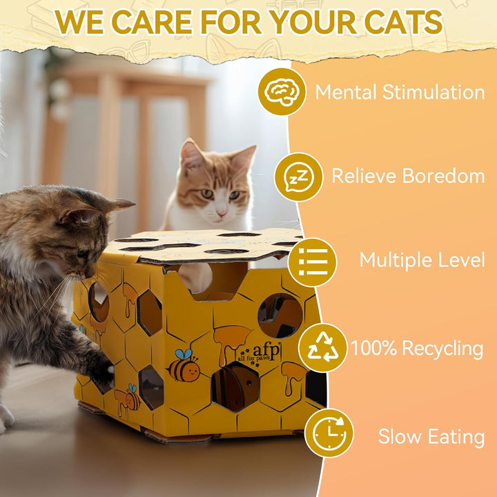 ALL FOR PAWS Katzen-Futter-Spielzeug, Interaktive Leckerli-Spielbox für Katzen, Futterlabyrinth-Box