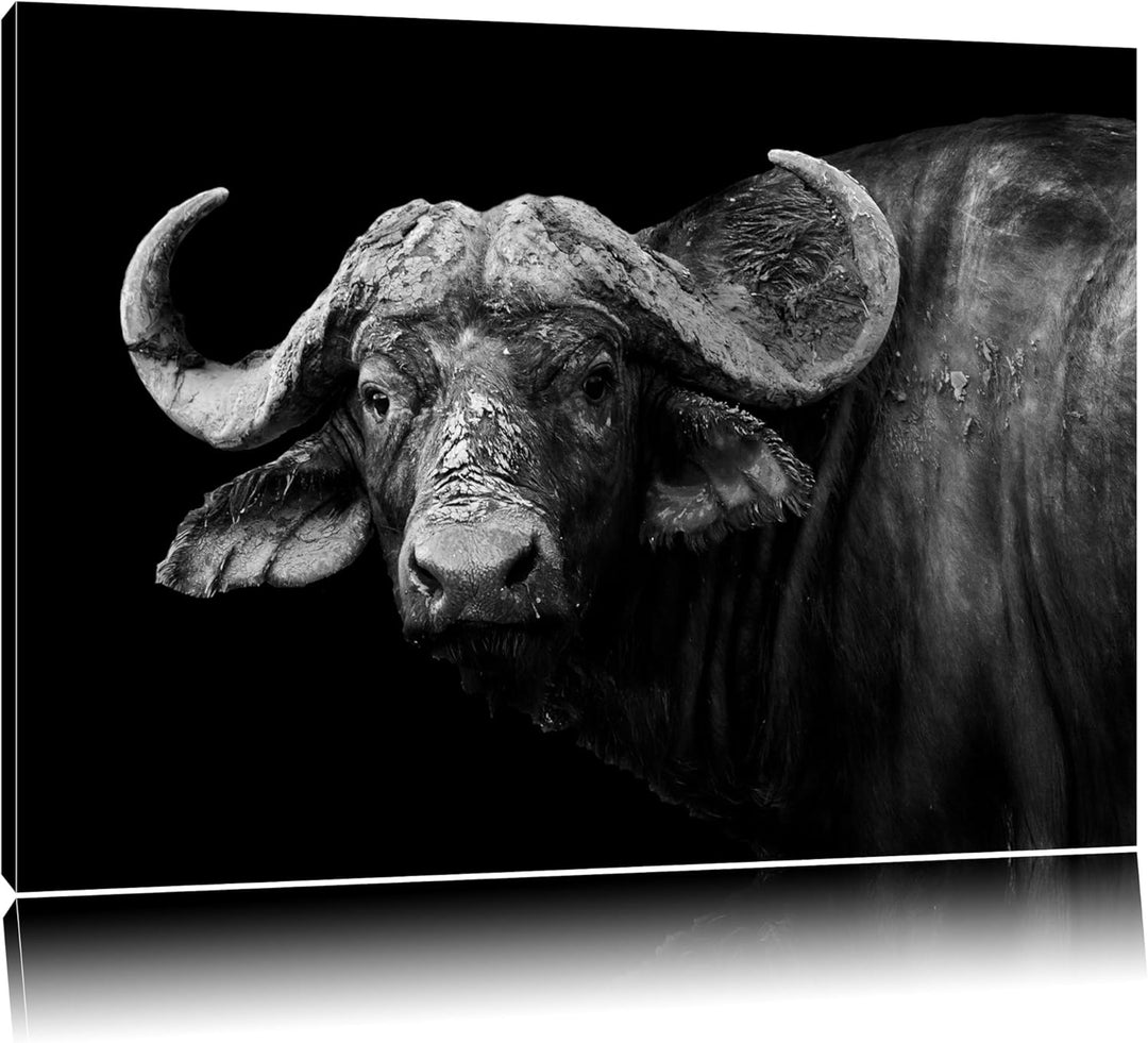 Pixxprint Dark Wasserbüffelformat: 100x70auf Leinwand, XXL riesige Bilder fertig gerahmt mit Keilrah