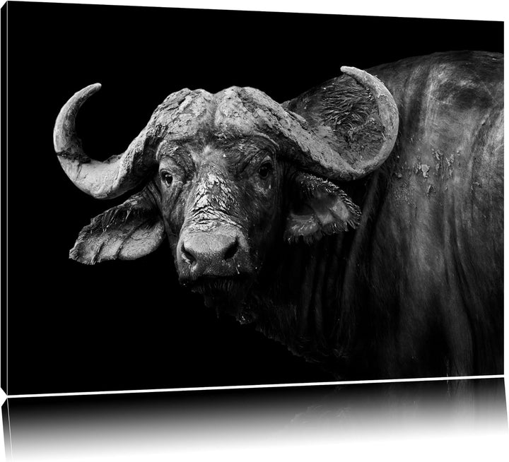 Pixxprint Dark Wasserbüffelformat: 100x70auf Leinwand, XXL riesige Bilder fertig gerahmt mit Keilrah