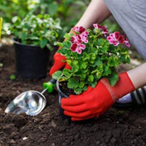 Ubibot RS485 Bodentemperatur und Feuchtigkeitssensor, wasserdichte Bodensonde, Garten-Bodentemperatu