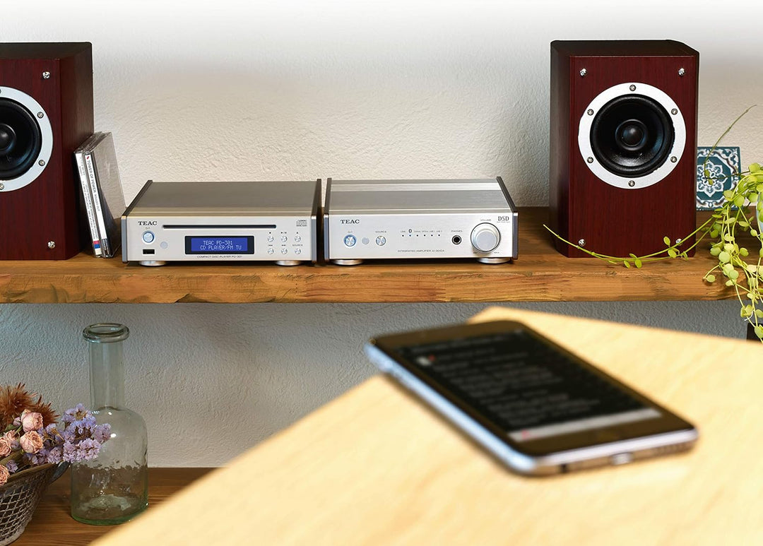 Teac PD-301DAB-X CD Player mit DAB/UKW Tuner, Silber, Silber