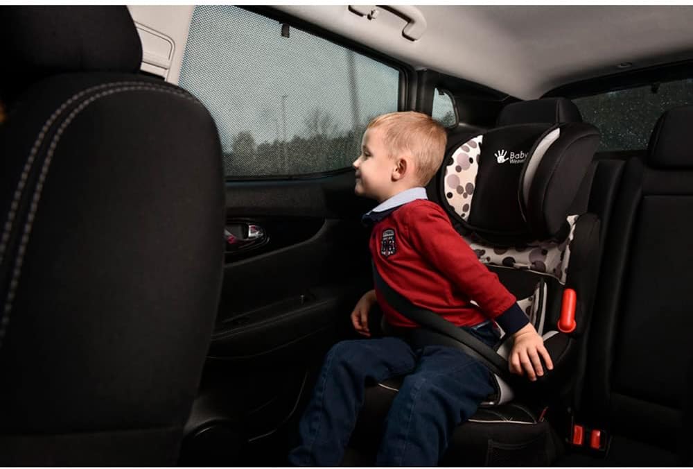 Satz Car Shades (Hintertüren) kompatibel mit Lexus CT200H 2011- (2-teilig)