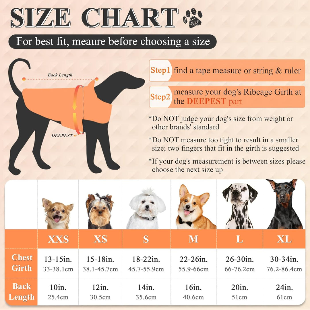 VIVAGLORY Hunderegenmantel für grosse Hunde, leicht an- und ausziehbare Regenbekleidung, reflektiere