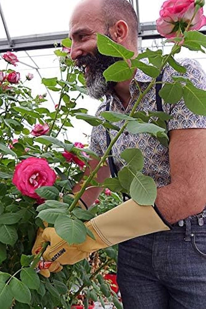 ROSTAING ROSERAIE-IT09 Gartenhandschuhe, Pro Rosen und kleine Nadelpinsel, Leder, Beige, Rosenrot, G