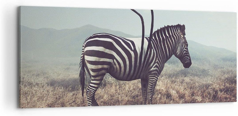 Wandbilder Dekoration Wohnzimmer Zebra Tier Wiese Panorama Bilder auf Leinwand 120x50cm Leinwandbild