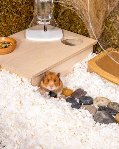 Niteangel Einstreu für Hamster, Zwerghamster, Gerbils, Mäuse, Degus, Ratten, Kaninchen, Hasen, Meers