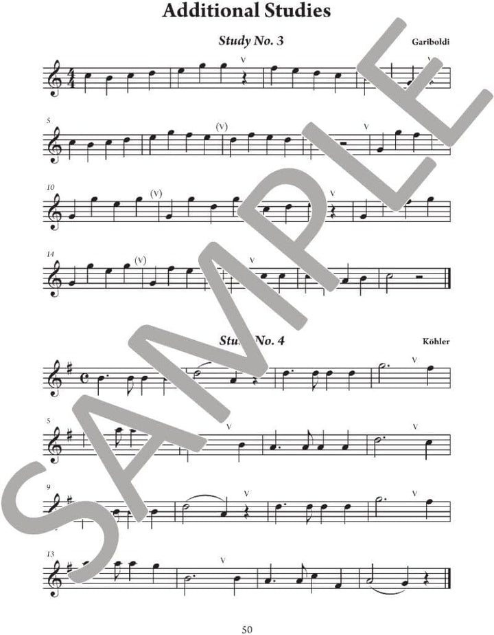 The Young Flute Player Book 1
