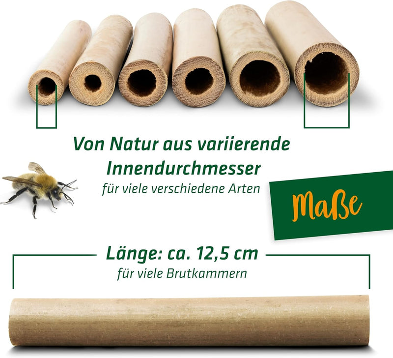 GARDIGO® Bambusröhrchen für Insektenhotel - 300 Stück | Premium Qualität | Niströhren für Wildbienen