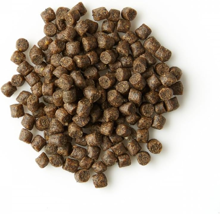 KOIPON Energy Winterfutter 1,5 kg 6 mm, sinkend, für Koi &amp; Goldfische | Energiereiches Winterfutter,