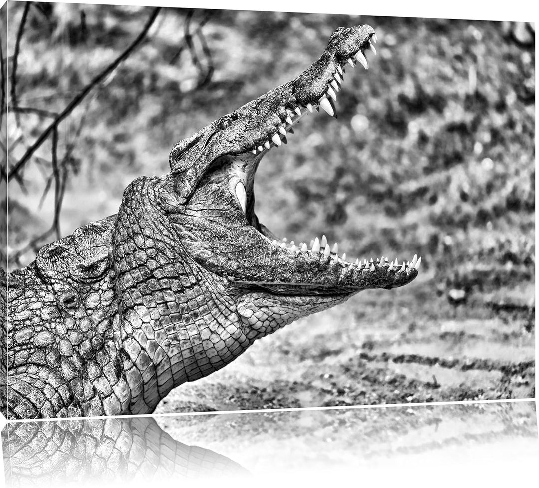 Pixxprint gewaltiges Krokodil als Leinwandbild/Grösse: 100x70 / Wandbild/Kunstdruck/fertig bespannt,