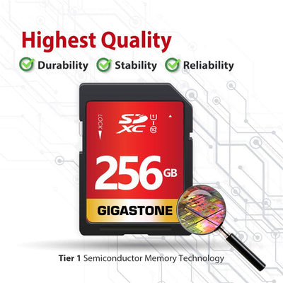 256GB Gigastone Pro SDXC 95MB Digital Card GS-SD-256 1-1PK-B