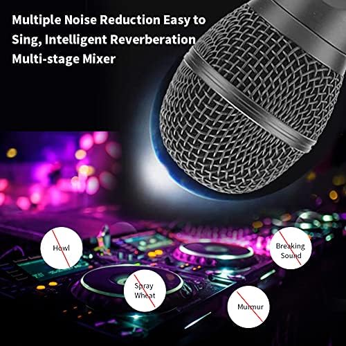Bewinner Kabelloser Karaoke, Heim Bluetooth Lautsprecher mit Zwei Mikrofonen, Mikrofon Tragbarer Kar