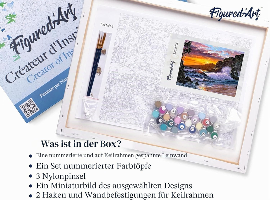 Figured'Art Malen Nach Zahlen Erwachsene Mit Rahmen Klippe und Wellen - Paint by Numbers Basteln DIY