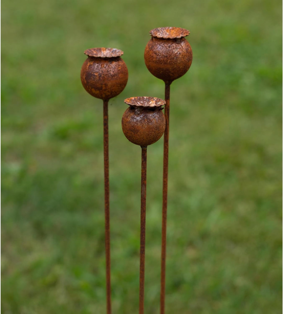 Bornhöft 3er Set Gartenstecker Sonnenhut Metall Rost Gartendeko Edelrost Rankstab Beetstecker Topfst