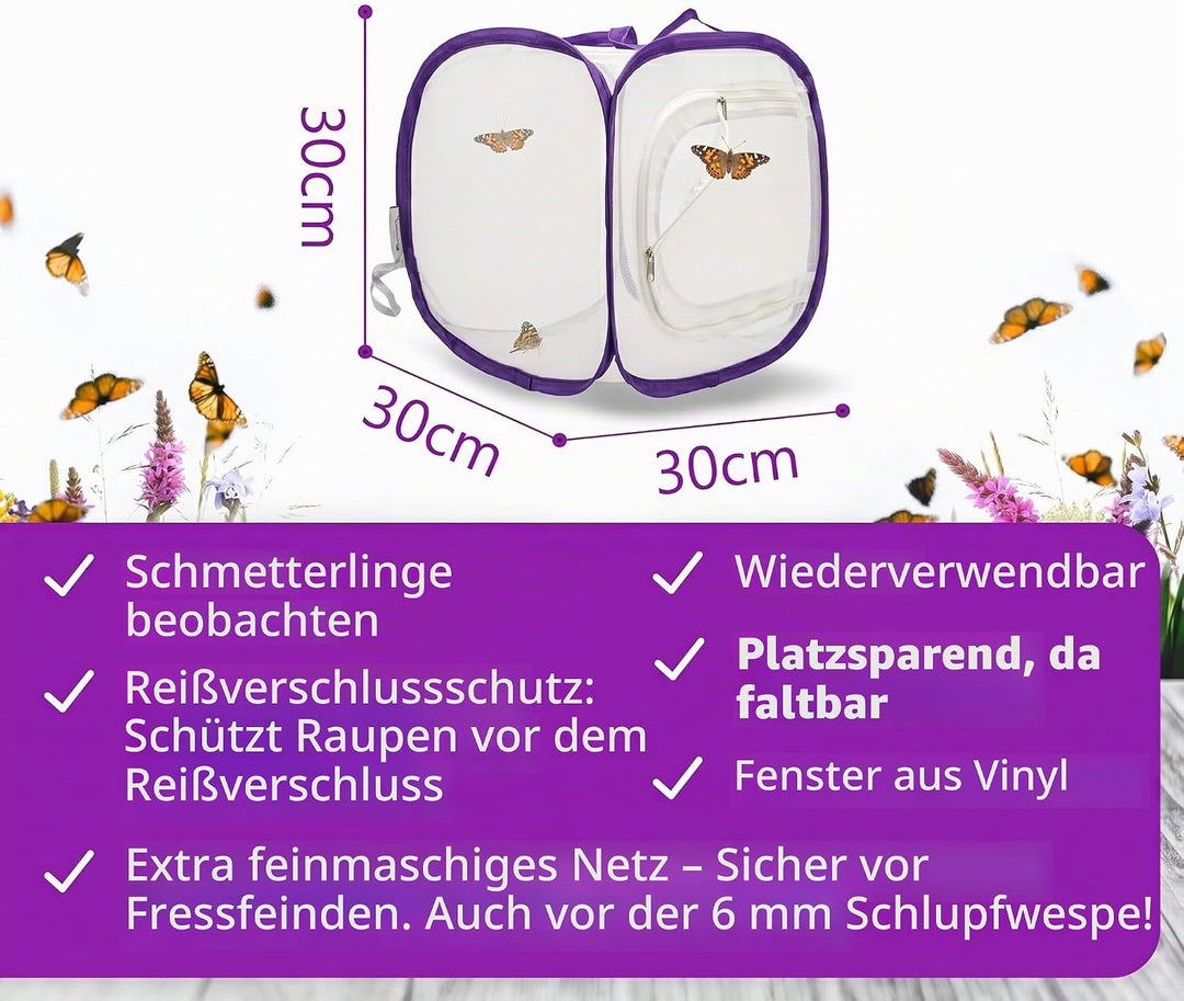 Schmetterlingszucht-Set für Kinder/Erwachsene | Ideal für zuhause | Heimische Schmetterling züchten