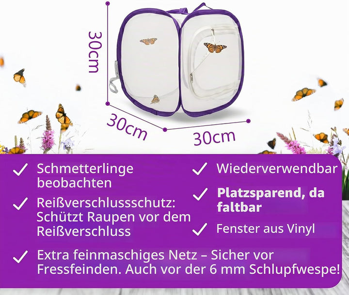 Schmetterlingszucht-Set für Kinder/Erwachsene | Ideal für zuhause | Heimische Schmetterling züchten