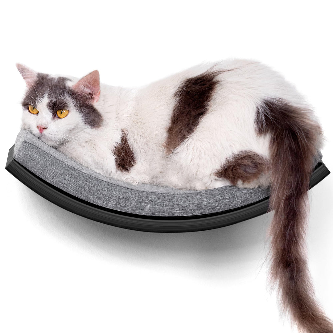 Gebogenes Katzen-Wandregal, Katzen Kletterwand mit Schaumstoffmatte, Wandmontiertes Massivholz Katze