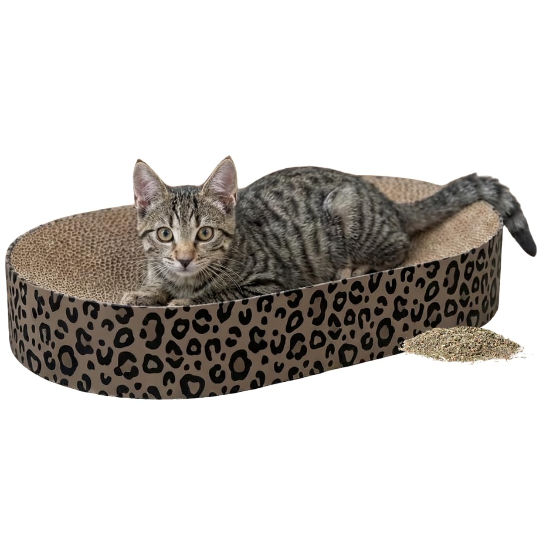Trixie Kratzbrett Leo aus Pappe 63 × 10 × 35 cm, Kratzspielzeug mit Katzenminze, braun - 48035